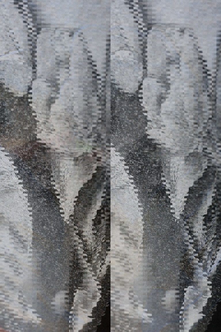 Фото к отзыву от Игорь